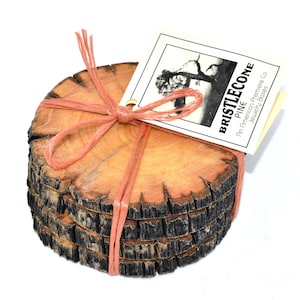 May include: A stack of wooden coasters made from tree slices, tied with a peach-colored string. The coasters have a natural wood grain pattern with dark brown bark edges. A tag reads "Bristlecone Pine" and "An American Premiere Co. Jewelry Boxes."