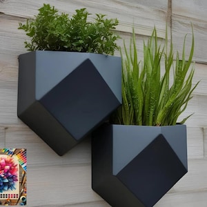 May include: Two dark grey geometric wall planters, each holding live plants. One contains green leafy plants, the other long, green, spiky plants. The planters are mounted on a light grey wooden wall.