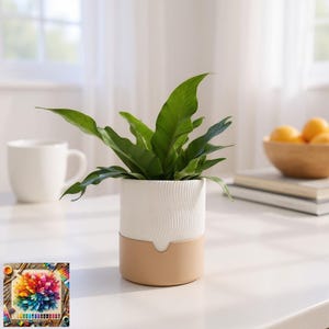 May include: A houseplant with lush green foliage in a two-tone white and tan ceramic pot. The pot features a textured pattern on the white upper section. A white mug and a bowl of oranges are in the background.