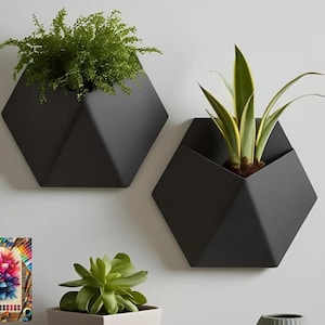 May include: Two black, geometric wall planters, each holding greenery. One contains a fern-like plant, the other a plant with long, yellow-edged leaves. The planters are mounted on a white wall, creating a modern, minimalist aesthetic.