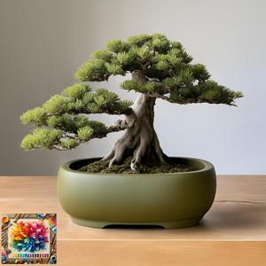 May include: A detailed bonsai tree with lush green leaves and a weathered, grey trunk. The tree is potted in a rounded, olive-green ceramic pot. The image is set on a wooden surface.