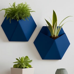 May include: Two dark blue hexagonal wall planters with a geometric faceted design. One planter holds a lush green fern, while the other contains a variegated snake plant. A small succulent in a light-coloured pot sits below the wall-mounted planters.