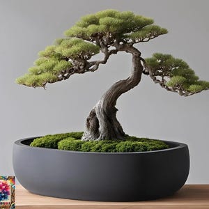 May include: A bonsai tree with green leaves and a twisted, textured trunk. The tree is in a dark grey, oval pot filled with green moss. The pot rests on a wooden surface against a grey background.