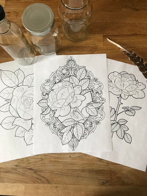 Download Adult Coloring Page Pack Set Of 3 Roses Instant Download Etsy