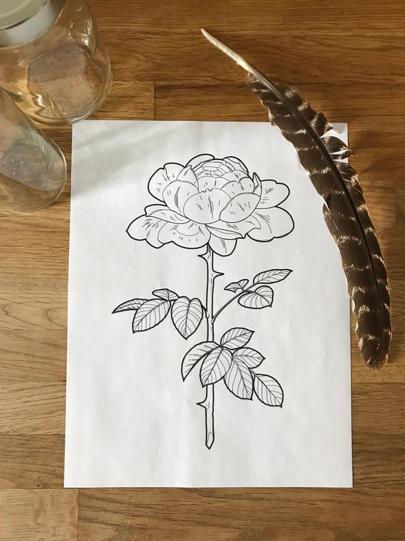 elegant long stemmed rose coloring page  instant download print your own  coloring pages adult coloring book