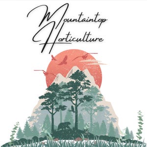 May include: A stylized illustration of a mountain range with a red sun setting behind it. The mountains are covered in green trees and there are birds flying in the sky. The text "Mountaintop Horticulture" is written in a cursive font at the top of the image.