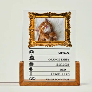 May include: A clear acrylic plaque with a gold frame photo of an orange tabby cat sleeping. The plaque has a black border and lists the cat's name, breed, birthday, color, size, and a fun fact: "Upside Down Naps".