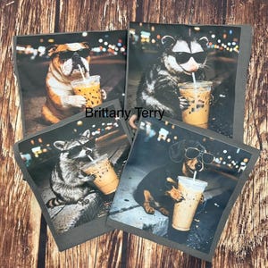 Puede incluir: Cuatro impresiones cuadradas grises que representan animales con gafas de sol y bebiendo caf&eacute; helado. Los animales son un bulldog, una zarig&uuml;eya, un mapache y un perro salchicha. Las impresiones tienen un fondo de escena nocturna de la ciudad y el texto "Brittany Terry".