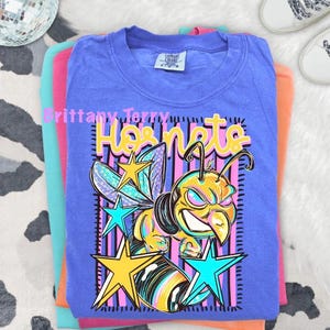 May include: A periwinkle blue t-shirt featuring a graphic of a yellow and black hornet with a fierce expression. The design includes the text Hornets in yellow, surrounded by pink vertical stripes and several colorful stars in yellow and teal.