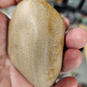 Natural Charlevoix 9.25 ounces.    number 106