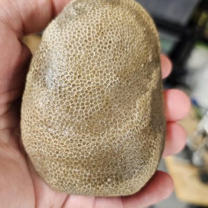 Natural Charlevoix 1 lb 7 ounce.     number 104