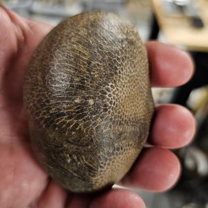 Natural Charlevoix 10.5 ounces    No.  115.