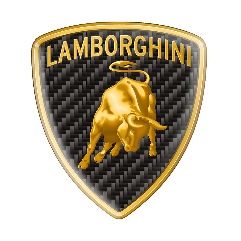 Ultra Strong Self-Adhesive Sticker Shield/Superb Quality Domed Badge Emblem Logo Lamborghini/Vinyl Custom Logo Emblem/Best Gift/All sizes