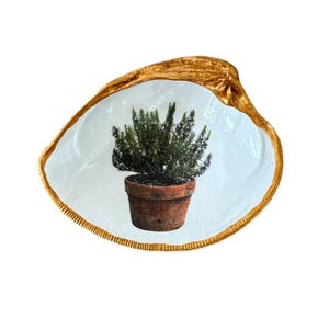 Clam shell ring dish with pot of rosemary
