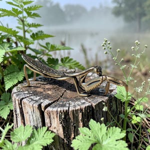 Puede incluir: Una detallada escultura de latón de una mantis religiosa descansa sobre un tocón de árbol desgastado. El insecto está representado con detalles intrincados, mostrando sus patas, alas y cabeza. El fondo presenta vegetación y un lago brumoso.