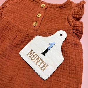 Cow Tag Monthly Milestone Tiles | Newborn Gift | Cow Tag Accessories | Baby Shower Gift | Wooden Milestone Markers