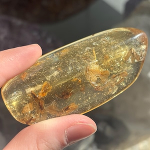May include: A translucent, amber-colored piece of fossilized resin, showcasing preserved insect inclusions. The amber is held between fingers, revealing its polished surface and the intricate details of the ancient specimens within. The color ranges from light yellow to a deeper golden hue.