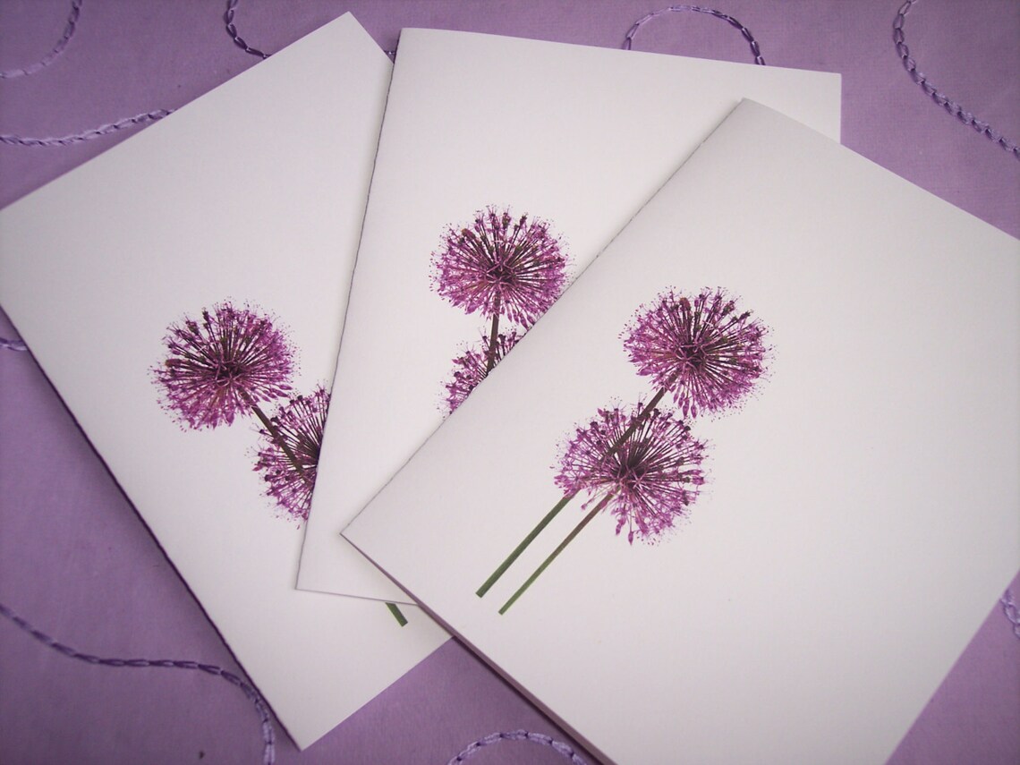 Purple Dandelion Note Cards. Set of Ten All Occasion Cards Etsy