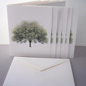 May include: A set of blank greeting cards with a white envelope. The cards feature a simple design of a green tree on a white background.