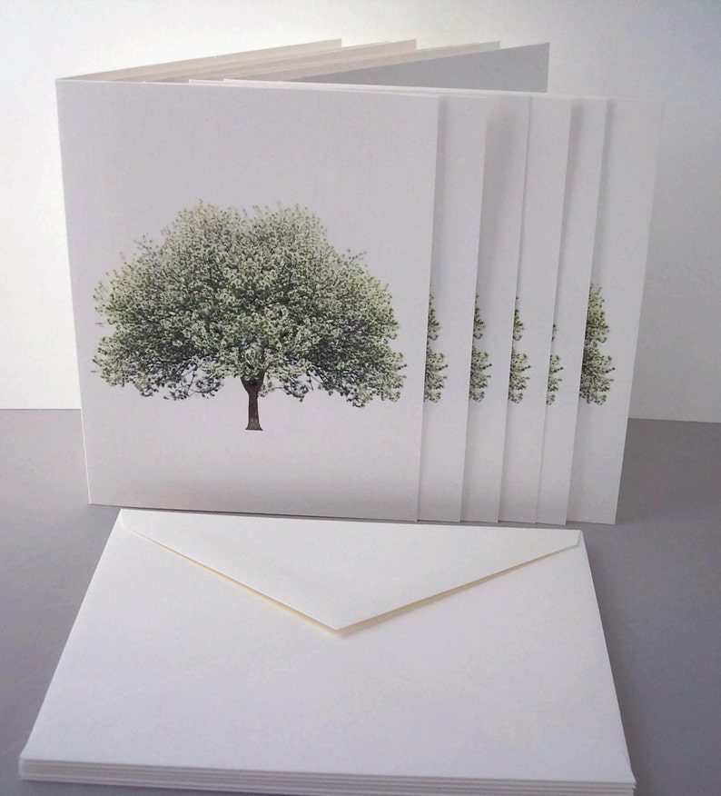 May include: A set of blank greeting cards with a white envelope. The cards feature a simple design of a green tree on a white background.