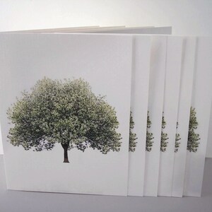 May include: A set of blank white cards with a green tree image printed on the front. The cards are stacked on top of each other.