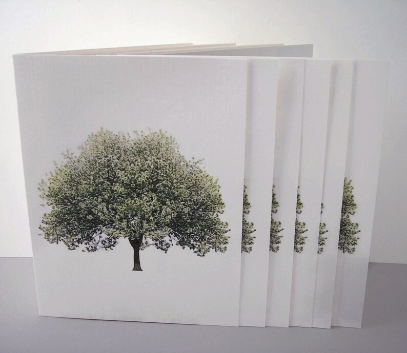May include: A set of blank white cards with a green tree image printed on the front. The cards are stacked on top of each other.