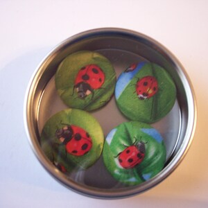 May include: A set of four ladybug magnets in a round metal tin. Each magnet features a ladybug on a green leaf with a white background.
