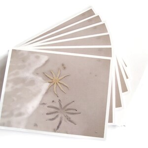 Starfish on the beach blank note cards linen paper set of six image 2