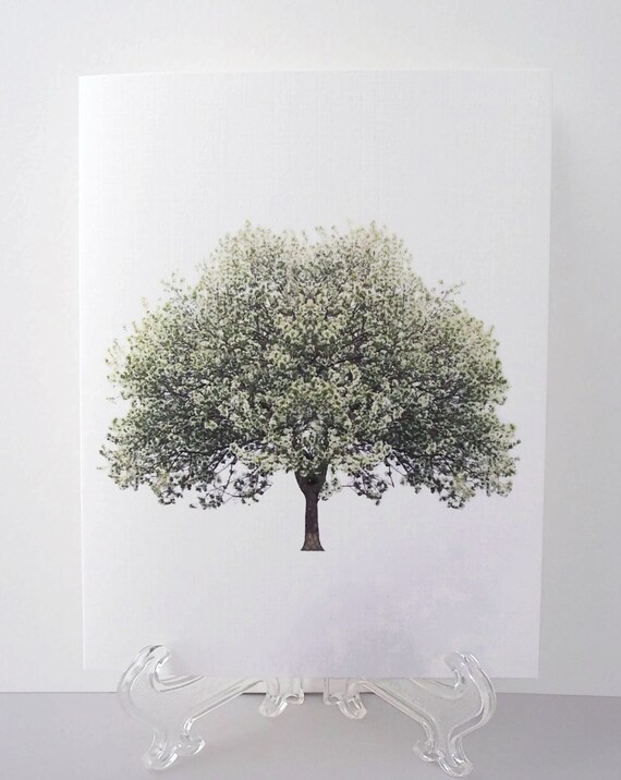 Spring Tree Blossoms Linen Paper Note Cards Set Of Six. Blank inside