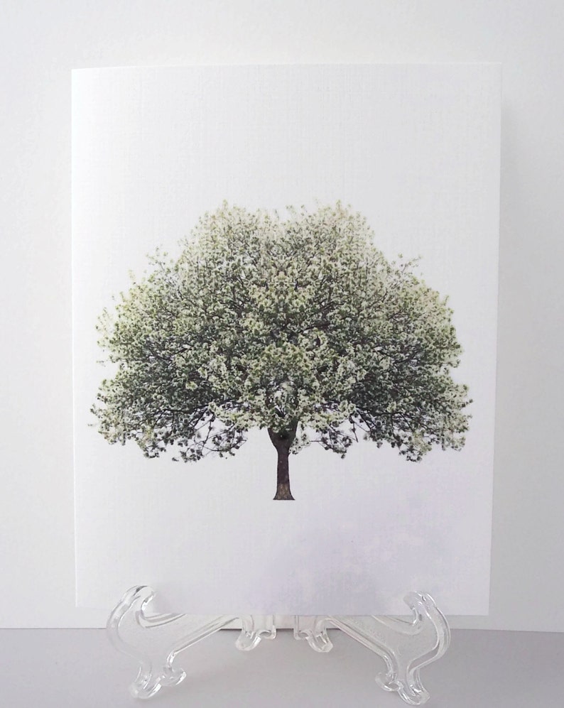 May include: A print of a single tree with green leaves and white blossoms against a white background.