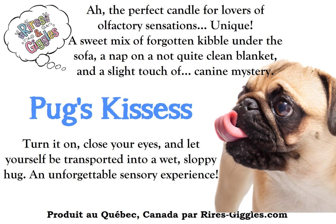 Humorous Candle Labels - French or English - Etsy