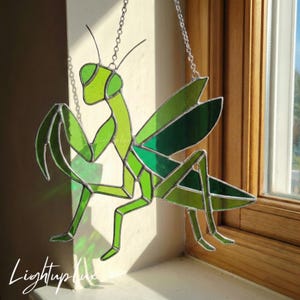 May include: A stained glass praying mantis suncatcher in shades of green, hanging from a silver chain. The insect is depicted with geometric shapes and lines, with a detailed head, legs, and wings. The suncatcher is displayed near a window.