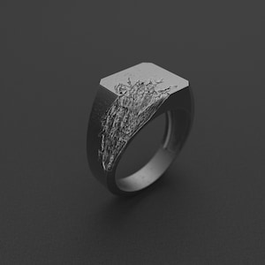 Oxidized Silver Signet Ring for Men, Rustic Handmade Pinky Ring or Wedding Band, Vintage Minimal Jewelry, Gift for Boyfriend