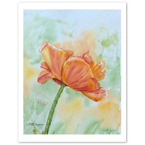 Tarjetas de notas con acuarela y diseño floral de sorbete de naranja (paquete de 10)