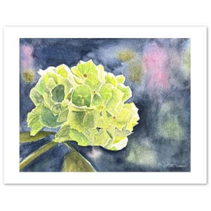 Cartes de correspondance citron vert hortensia (paquet de 10)