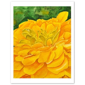 Gelbe Zinnia Grußkarten (10 Stück)
