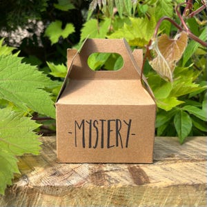 Crochet Mystery Box Amigurumi Mini Plushie Handmade
