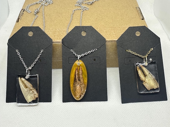 A real crawfish claw suspended in UV resin — wearable natural oddity jewelry that looks like something from a Victorian curiosity cabinet.