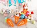 Personalized Easter Carrot with Plush Bunny: Custom Easter Gift,Carrot Toy with Bunny