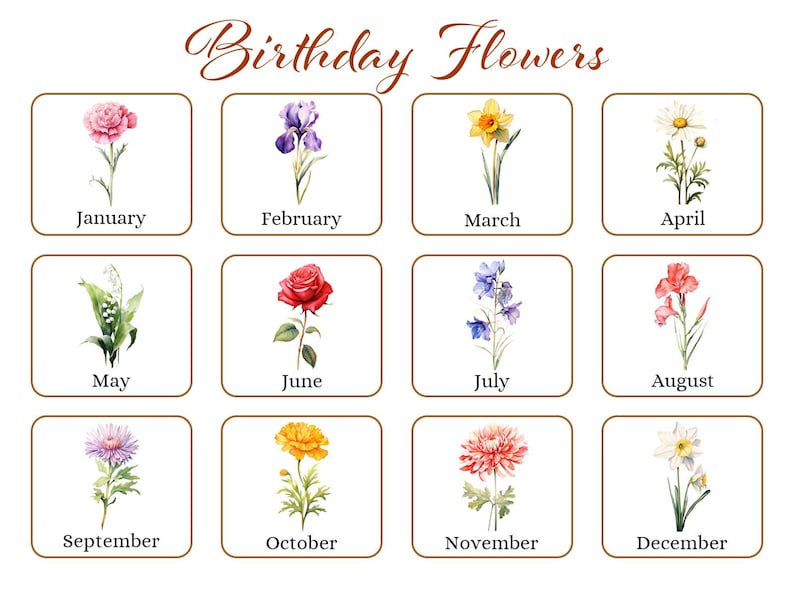 K&ouml;nnte beinhalten: Ein dekorativer Druck mit Aquarellillustrationen von Blumen, die jeweils einen Monat des Jahres darstellen. Der Text "Birthday Flowers" steht oben. Jede Blume ist mit dem entsprechenden Monat von Januar bis Dezember beschriftet.