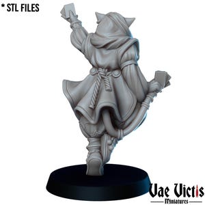 The Tabaxi diviner