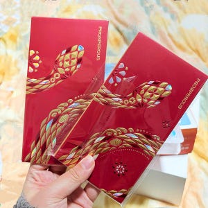 Sobre rojo del Año de la Serpiente 2025 / Hong Bao, Ang Pao / Paquete de regalo de diseño original / Regalo de Año Nuevo Lunar