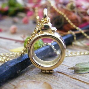 14kt Gold Shake Locket // Solid 14k 