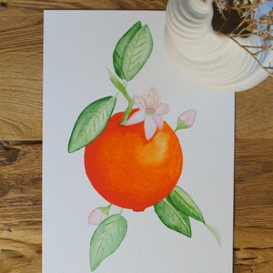 Ein Hauch von Orange