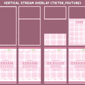 May include: A set of vertical stream overlays for TikTok and YouTube featuring a light pink and white gingham pattern. The collection includes various frames, a chat box, and screens labeled STREAM OFFLINE, STREAM ENDING, BE RIGHT BACK, and STARTING SOON.