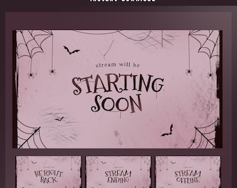 Cobweb Charm Animated Stream Screen Overlay, Simple Halloween Screen Overlay, Cute Spooky Twitch Overlay, Bat And Spider, Dark Pink Overlay
