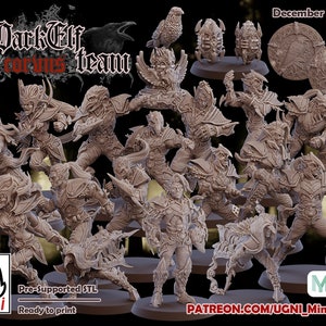 Dark Elves Fantasy Football Team  16 models+