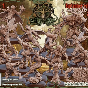 Wood Elf Team for Fantasy Football game 3D printed- 16 models+