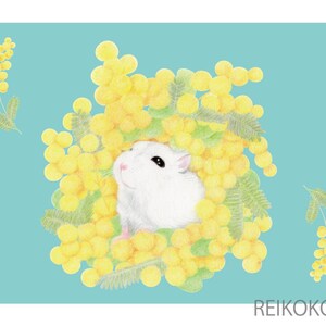 Cartolina con fiore di mimosa e illustrazione di criceto