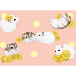 Cartão postal com ilustração de hamsters e flores amarelas de crisântemo